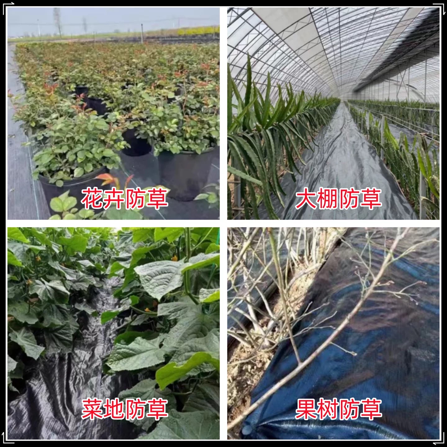 温州市货车苫盖膜防草布 - 价格