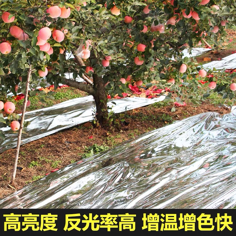 温州市po膜果树反光膜 - 方案